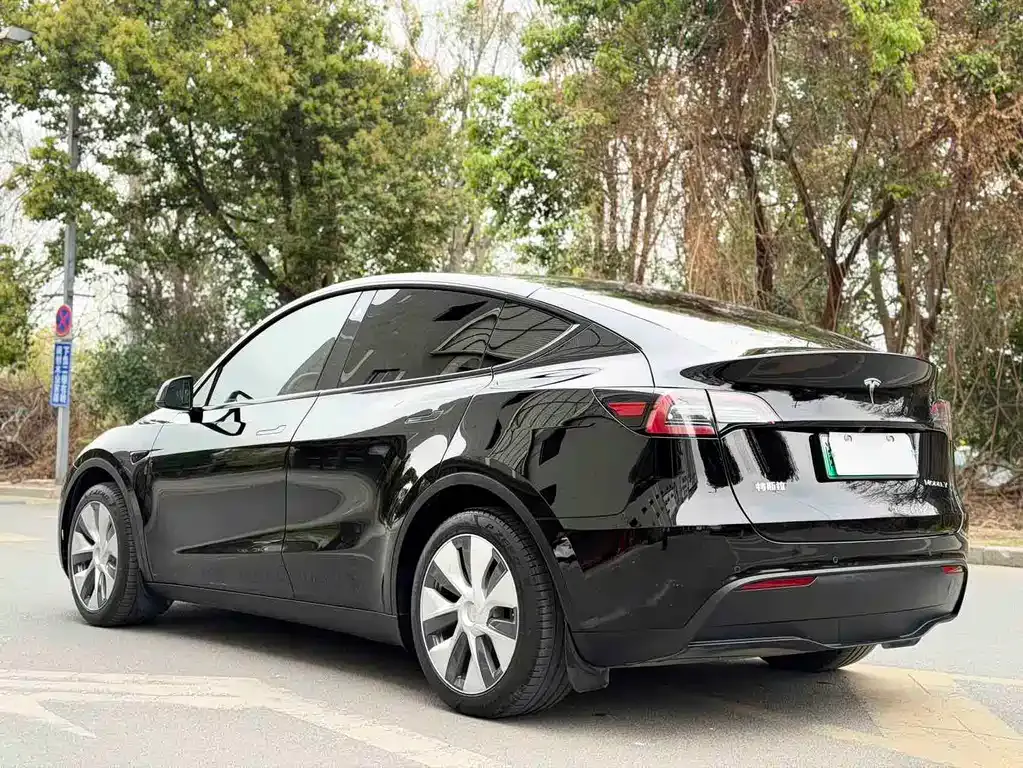 Tesla Model Y — фото 7