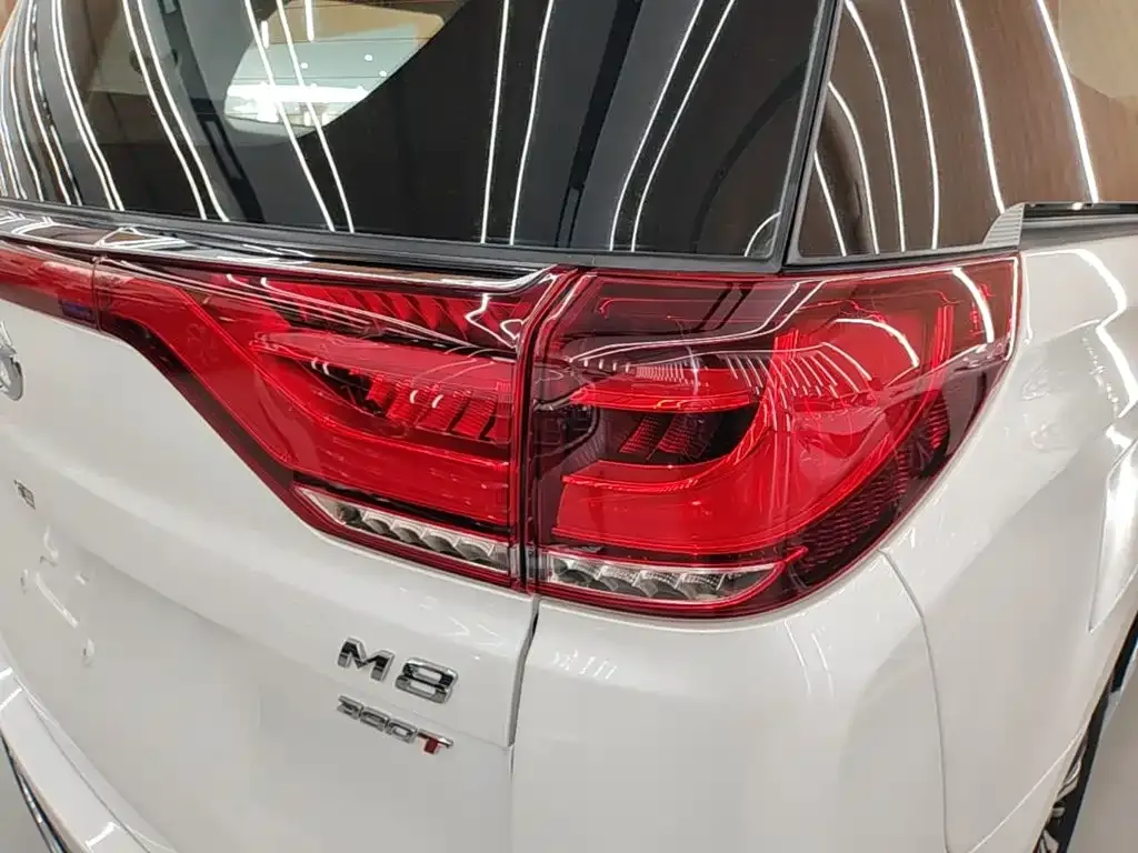 GAC Motor Trumpchi M8 — фото 10