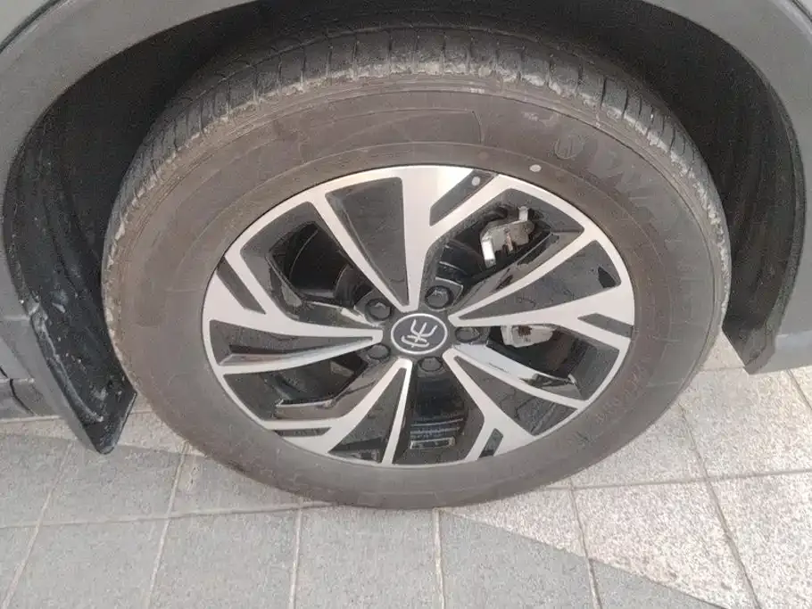 BYD Pro New Energy — фото 2