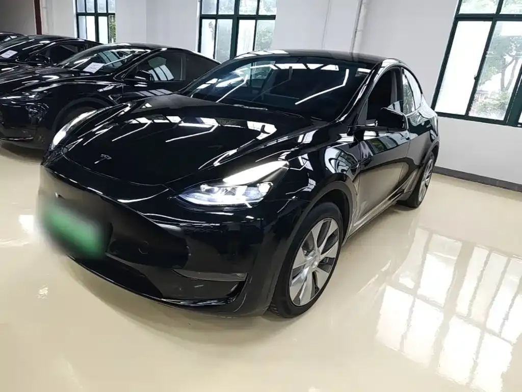 Tesla Model Y — фото 1