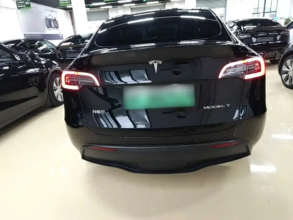 Tesla Model Y — фото 10