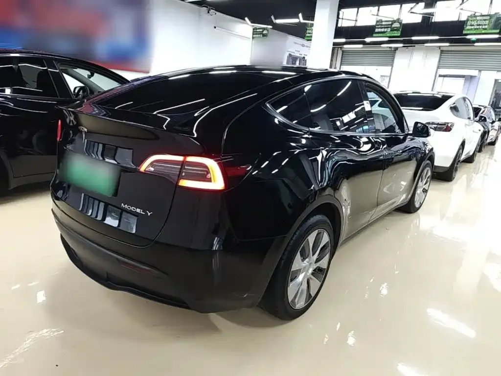 Tesla Model Y — фото 5
