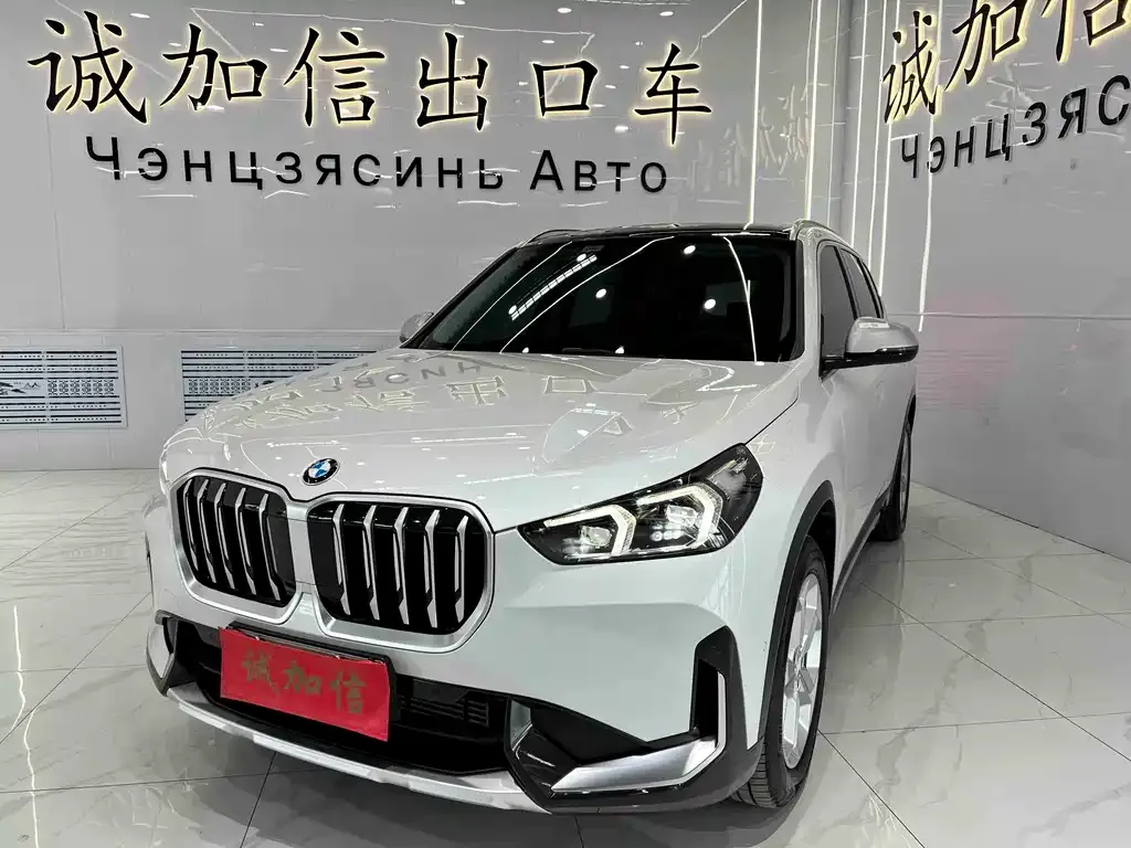BMW X1 — фото 1