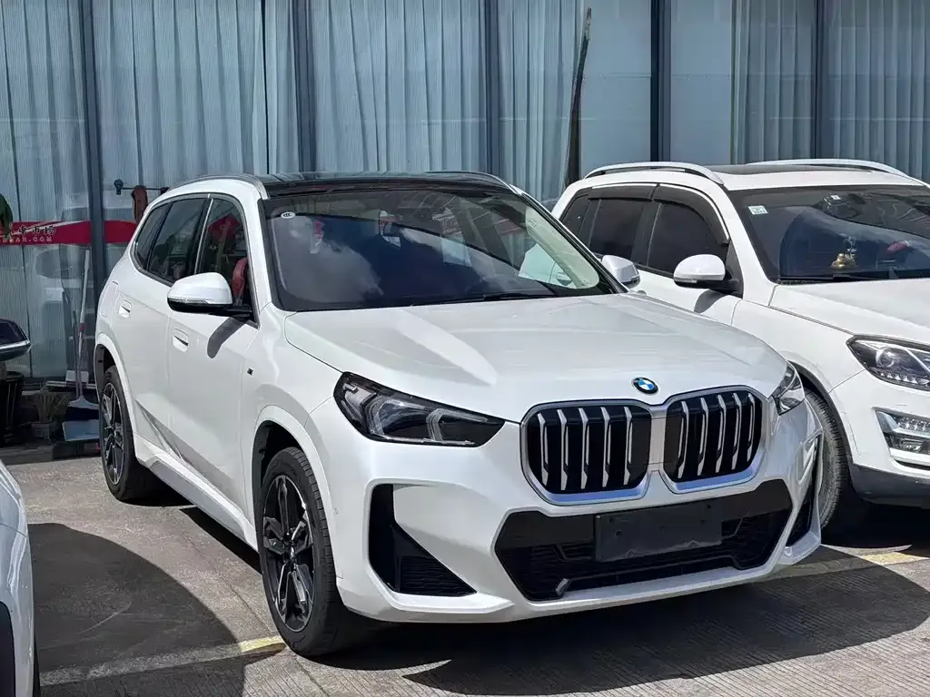 BMW X1 — фото 1