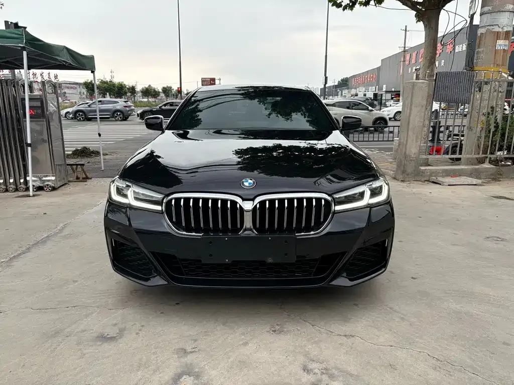 BMW 5 Series New Energy — фото 2