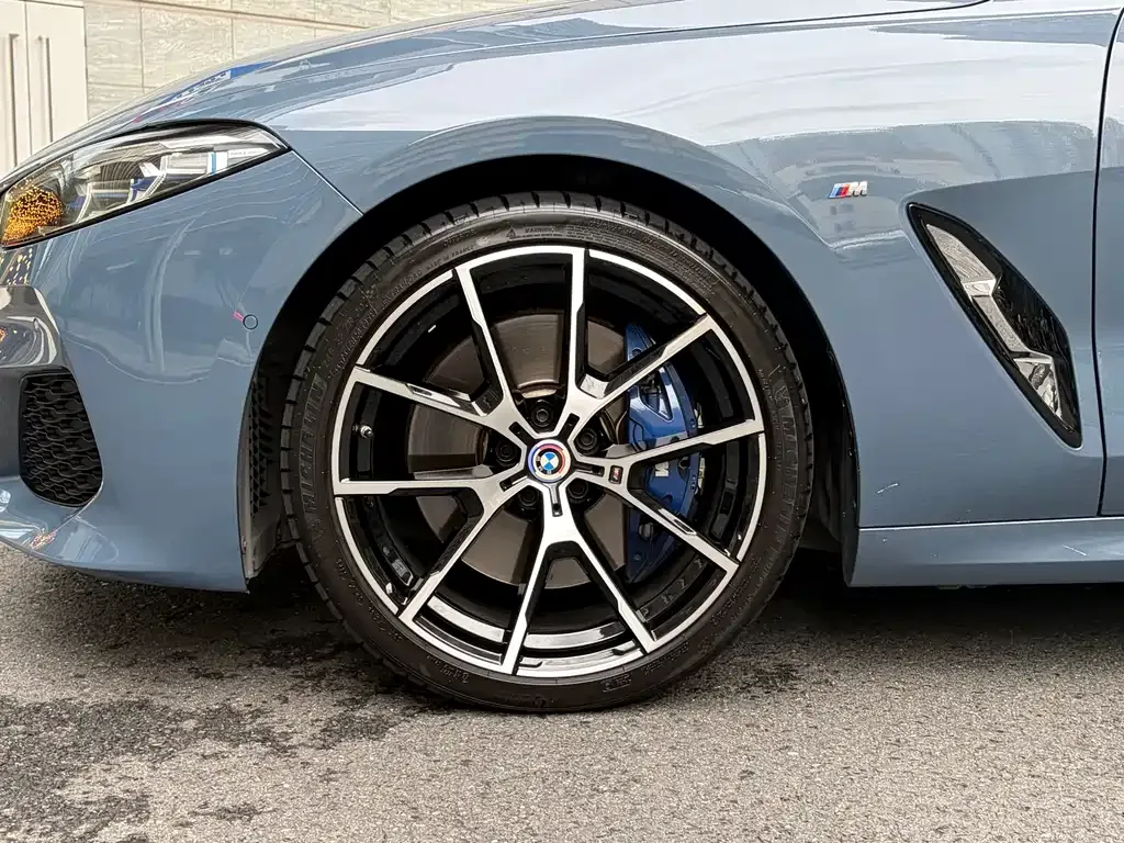 BMW 8 Series — фото 6