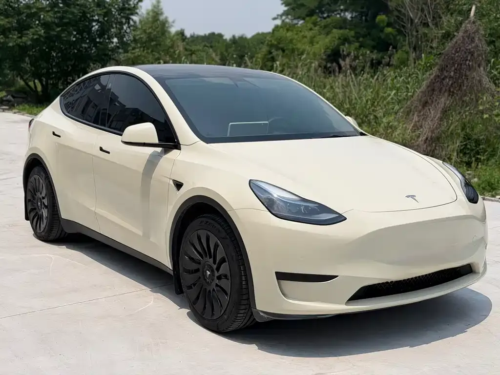 Tesla Model Y — фото 1