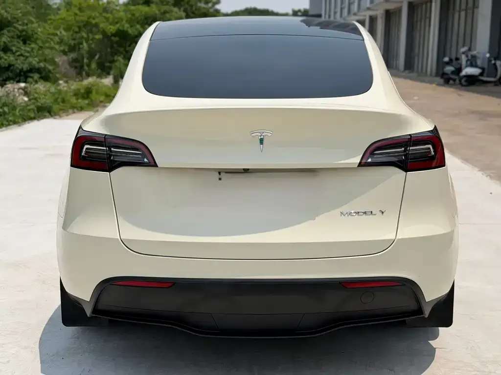 Tesla Model Y — фото 3