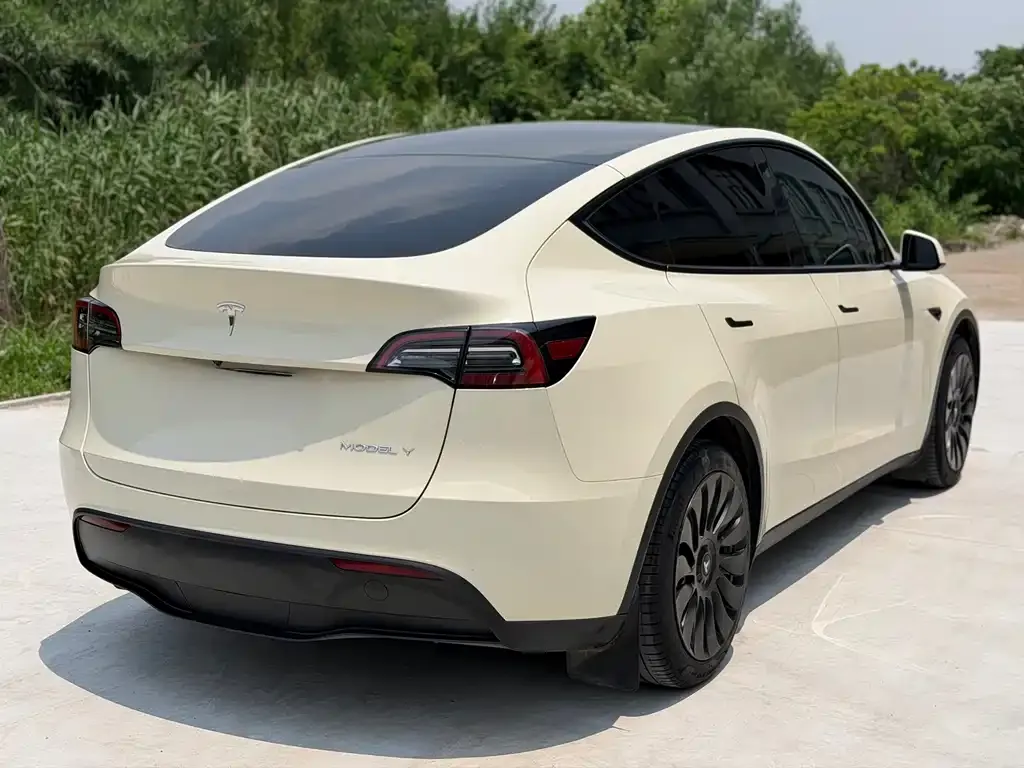 Tesla Model Y — фото 2