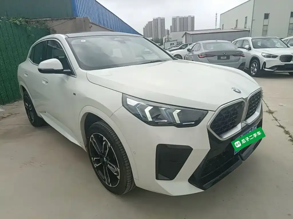 BMW X2 (Import) — фото 9