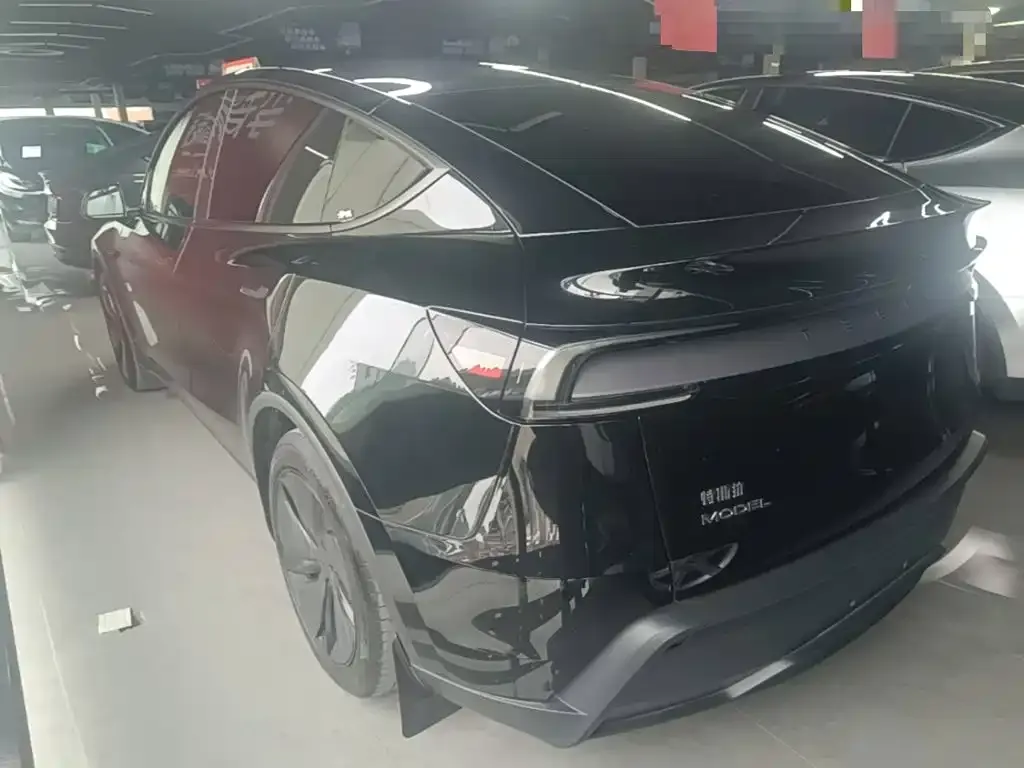 Tesla Model Y — фото 9