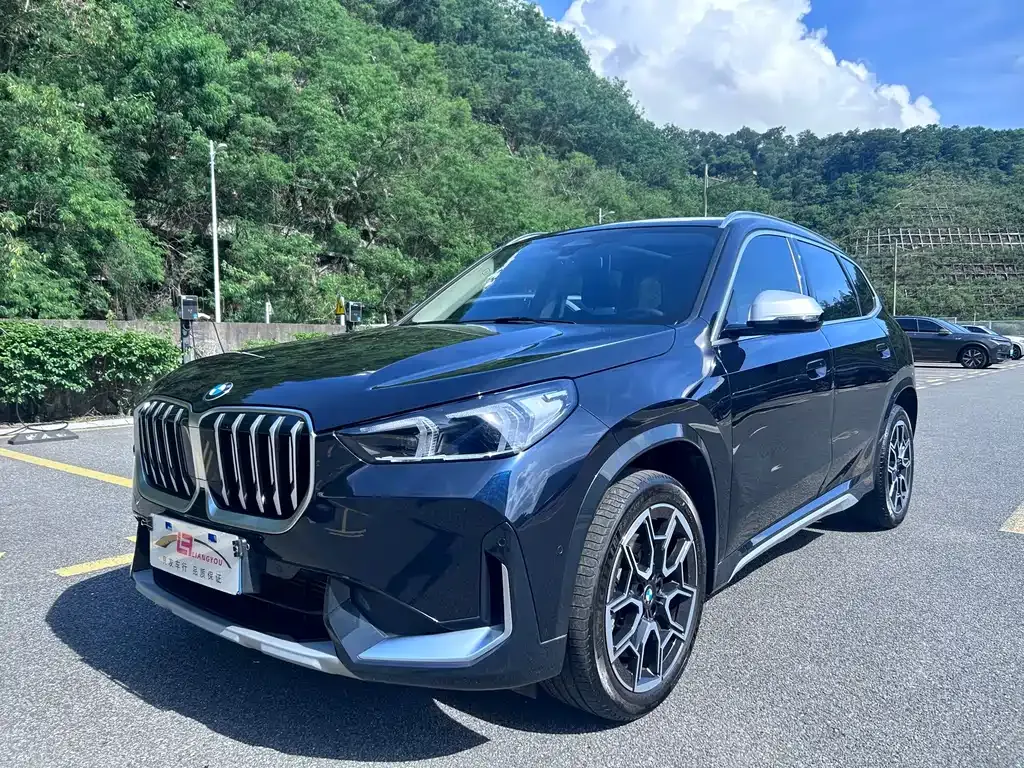 BMW X1 — фото 1