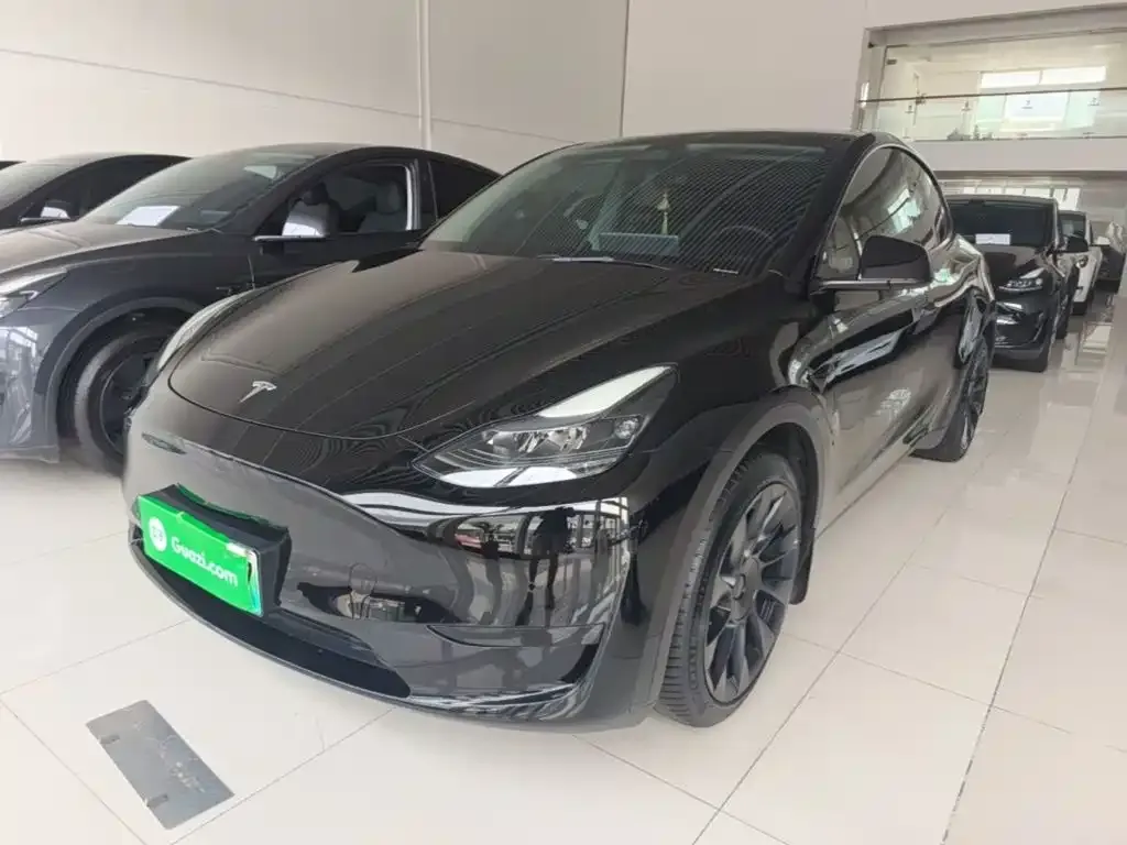 Tesla Model Y — фото 9