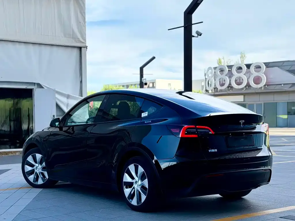 Tesla Model Y — фото 3