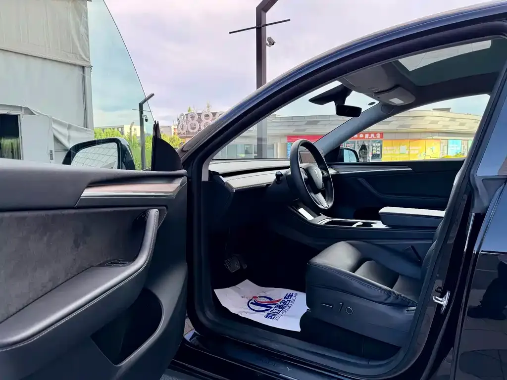 Tesla Model Y — фото 10