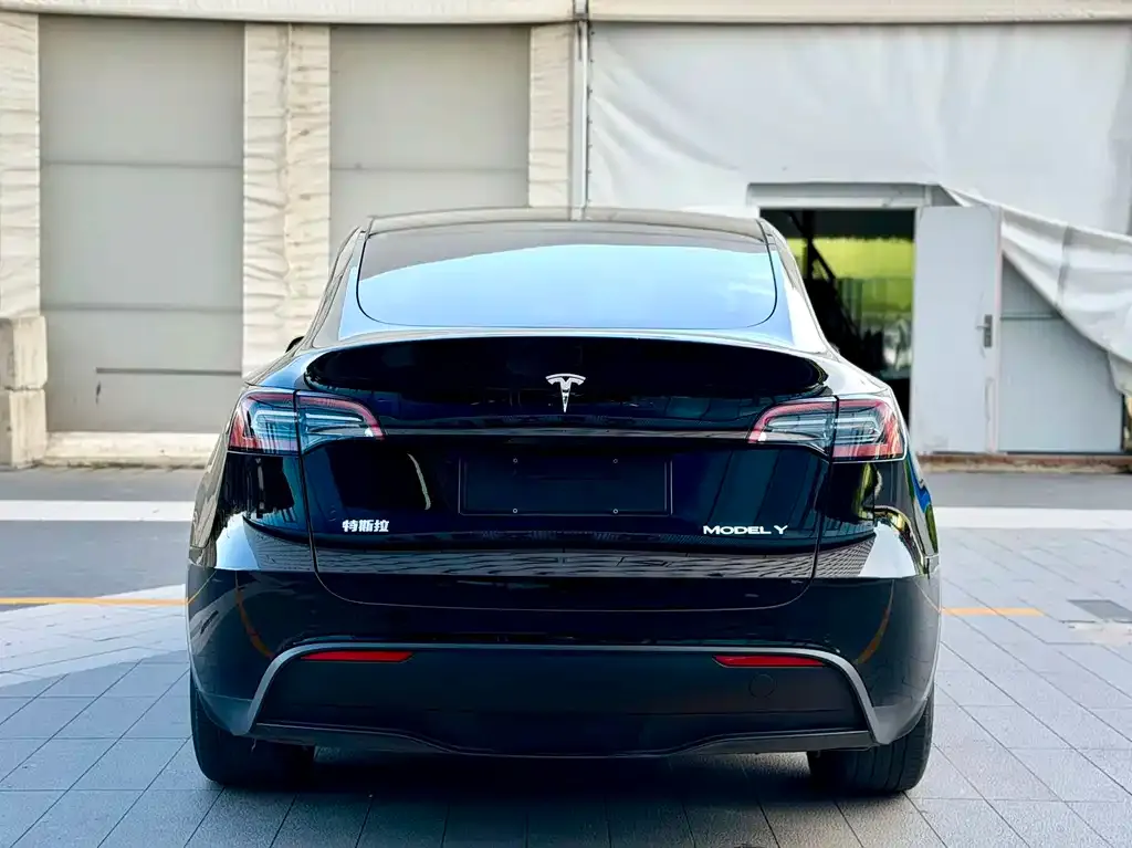 Tesla Model Y — фото 7