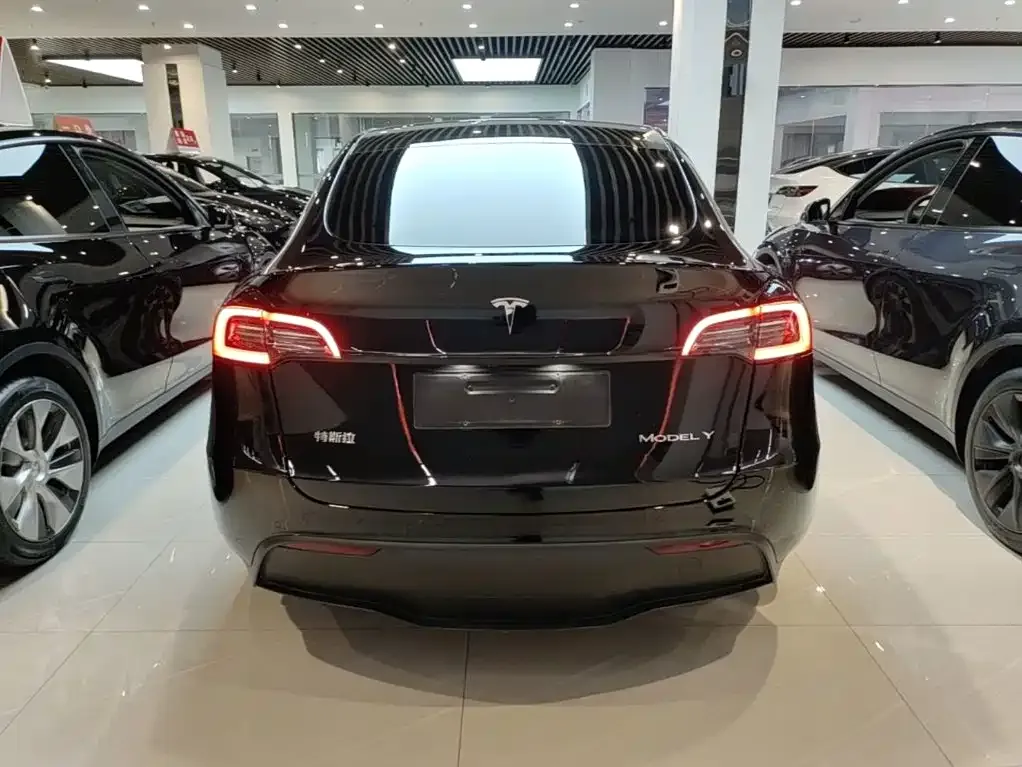 Tesla Model Y — фото 4