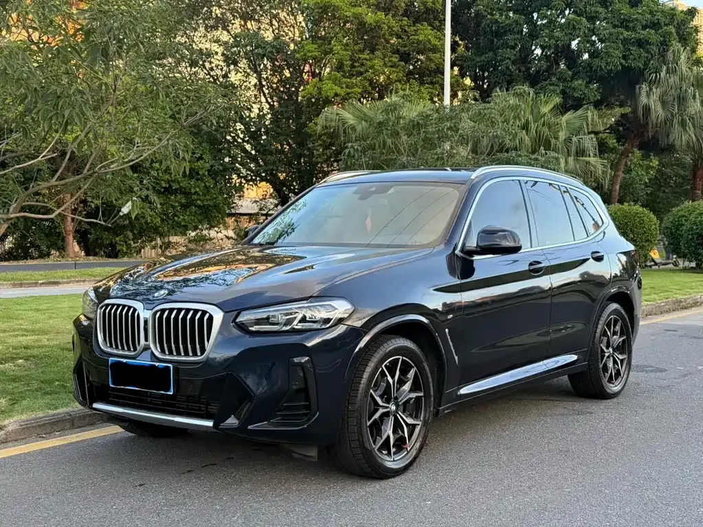 BMW X3 — фото 1