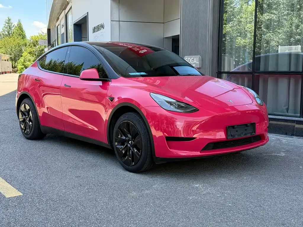 Tesla Model Y — фото 9