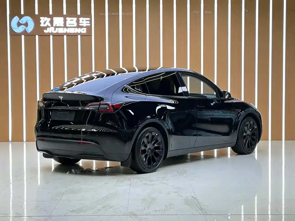 Tesla Model Y — фото 10
