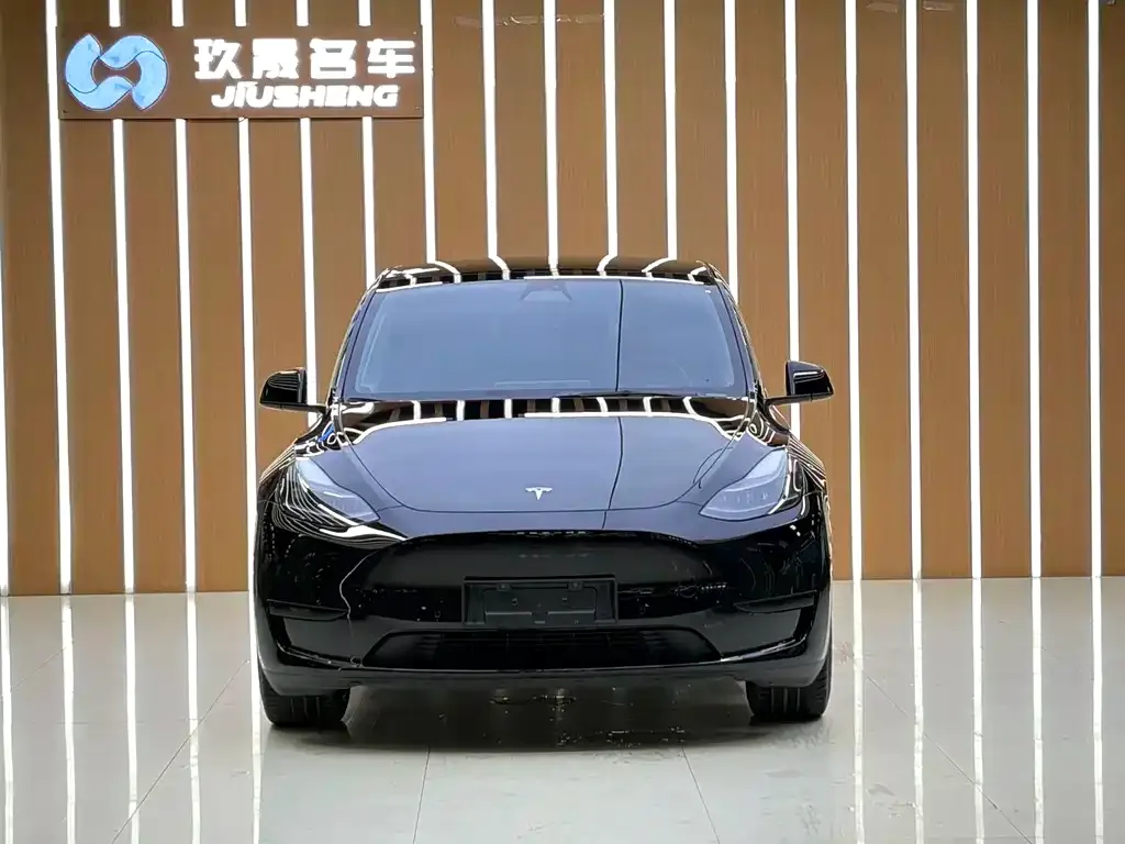 Tesla Model Y — фото 6