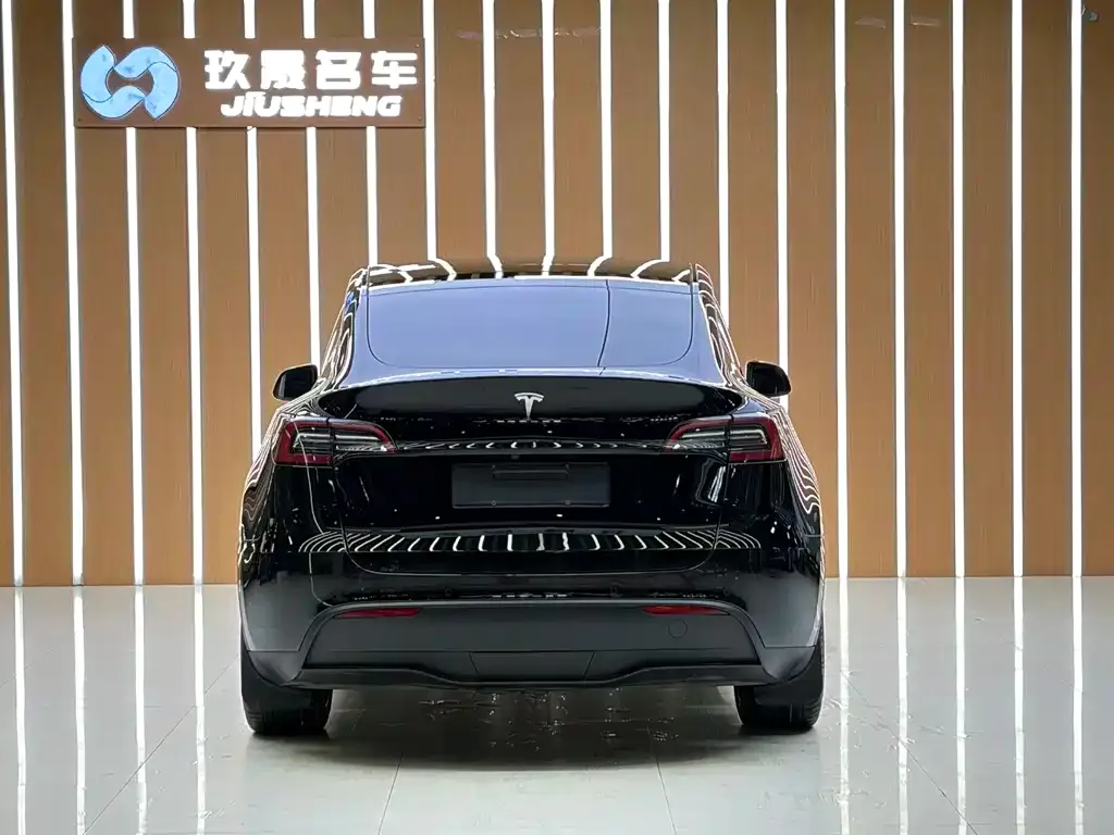 Tesla Model Y — фото 7