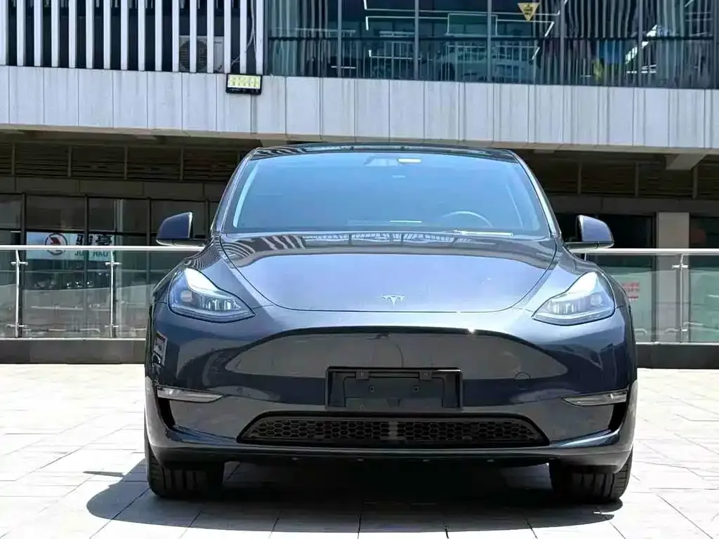 Tesla Model Y — фото 2