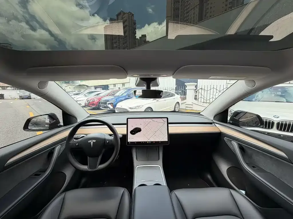 Tesla Model Y — фото 10