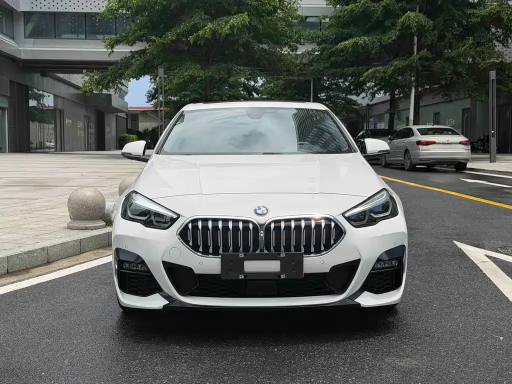 BMW 2 Series (Import) — фото 6