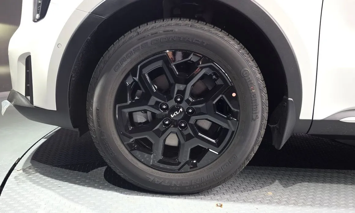Kia Sorento — фото 10