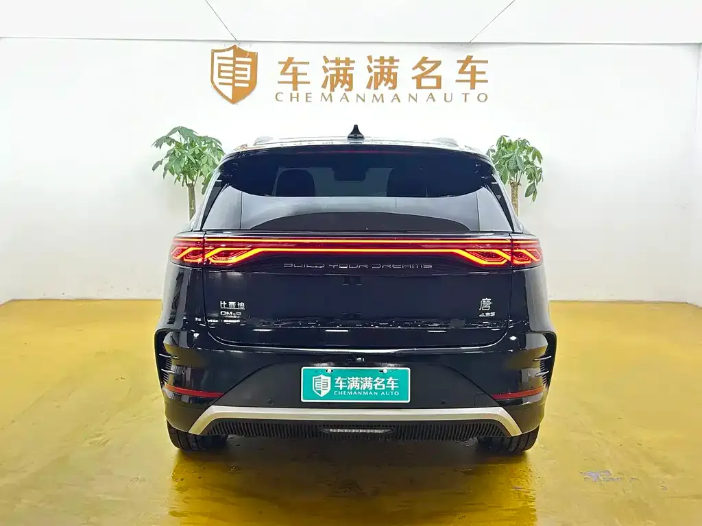 BYD Tang New Energy — фото 6