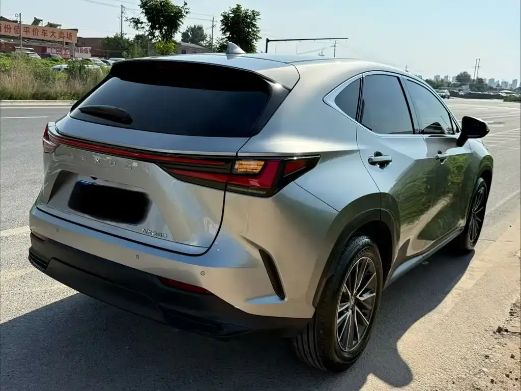Lexus NX — фото 6