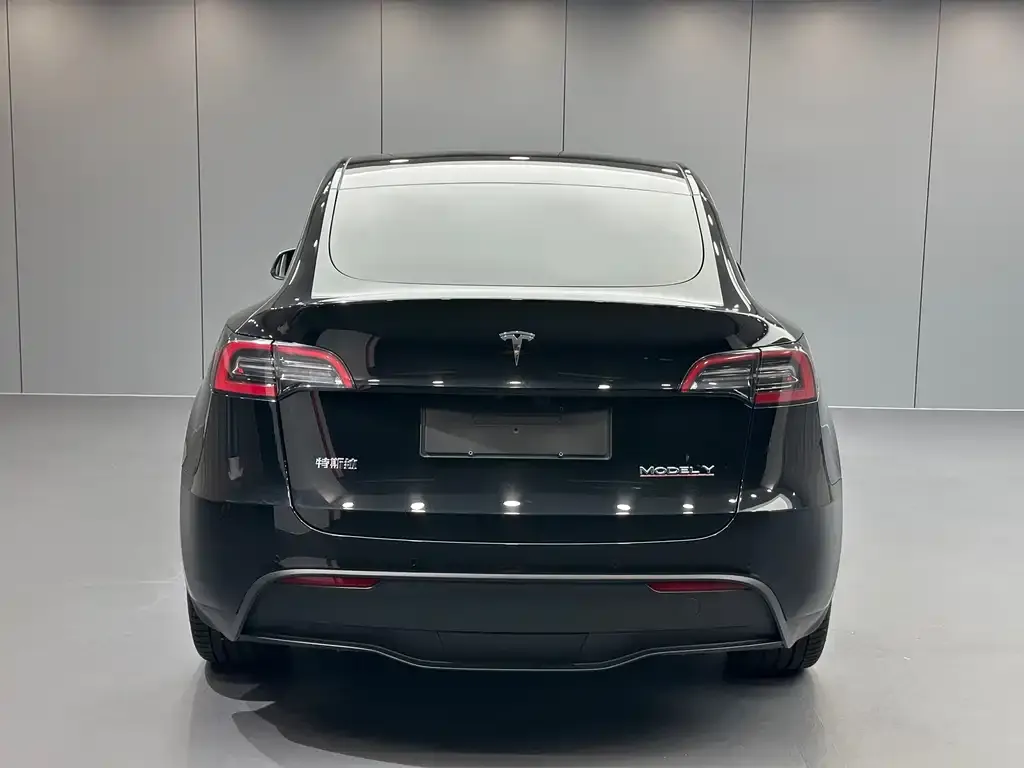 Tesla Model Y — фото 8
