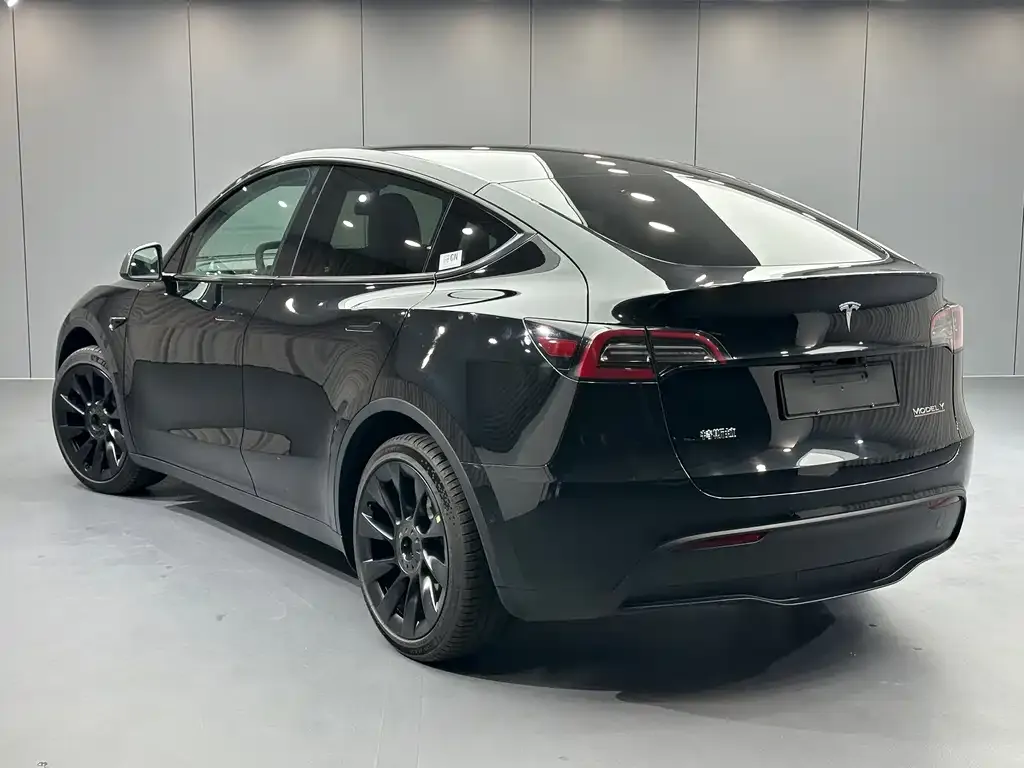 Tesla Model Y — фото 10