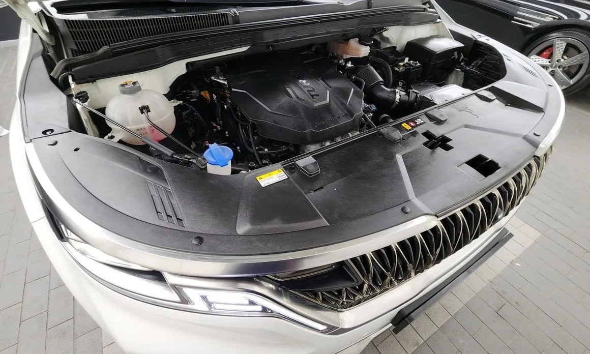 Kia Carnival — фото 10