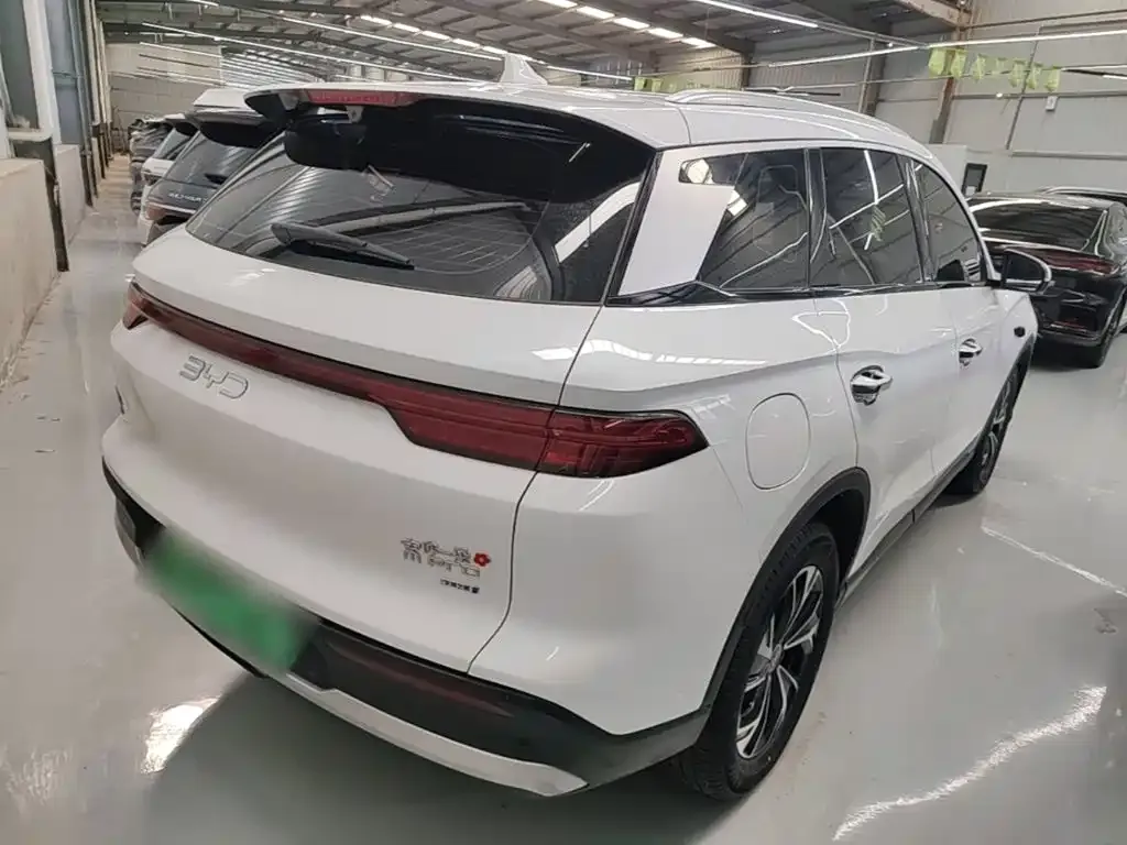 BYD Pro New Energy — фото 6