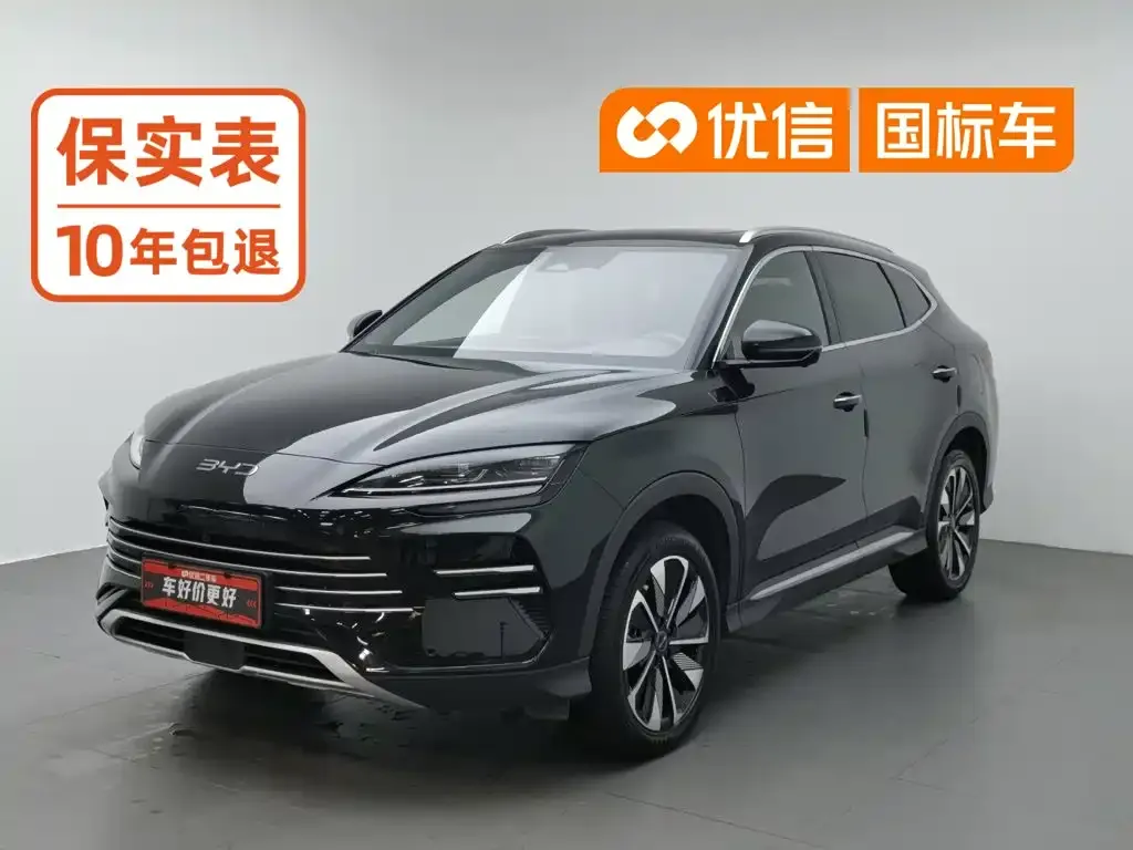 BYD PLUS New Energy — фото 1