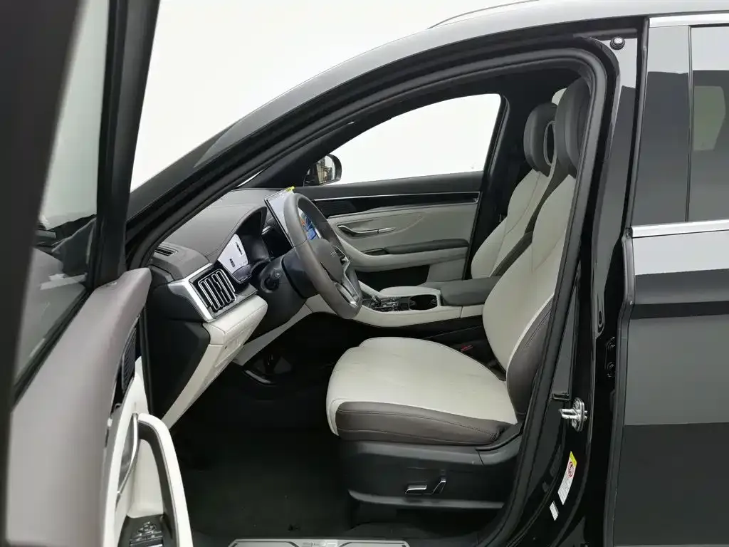 BYD PLUS New Energy — фото 6