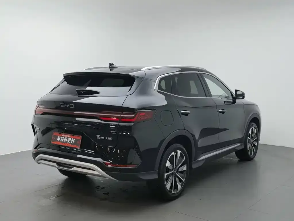 BYD PLUS New Energy — фото 8
