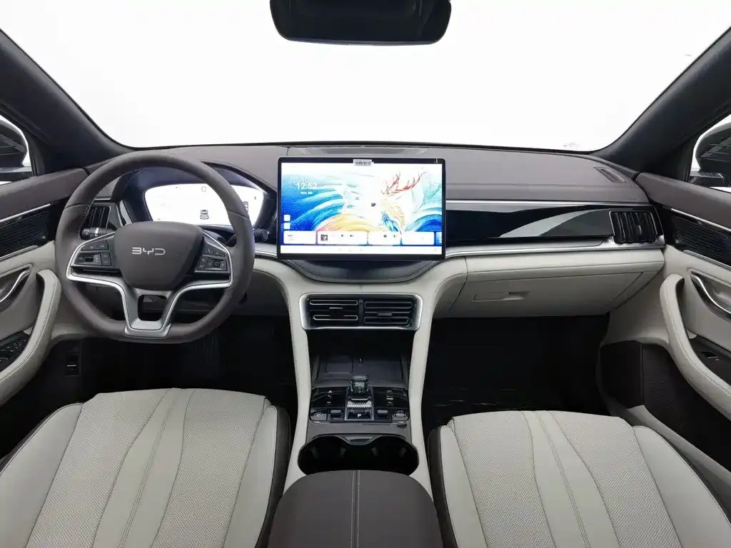 BYD PLUS New Energy — фото 5