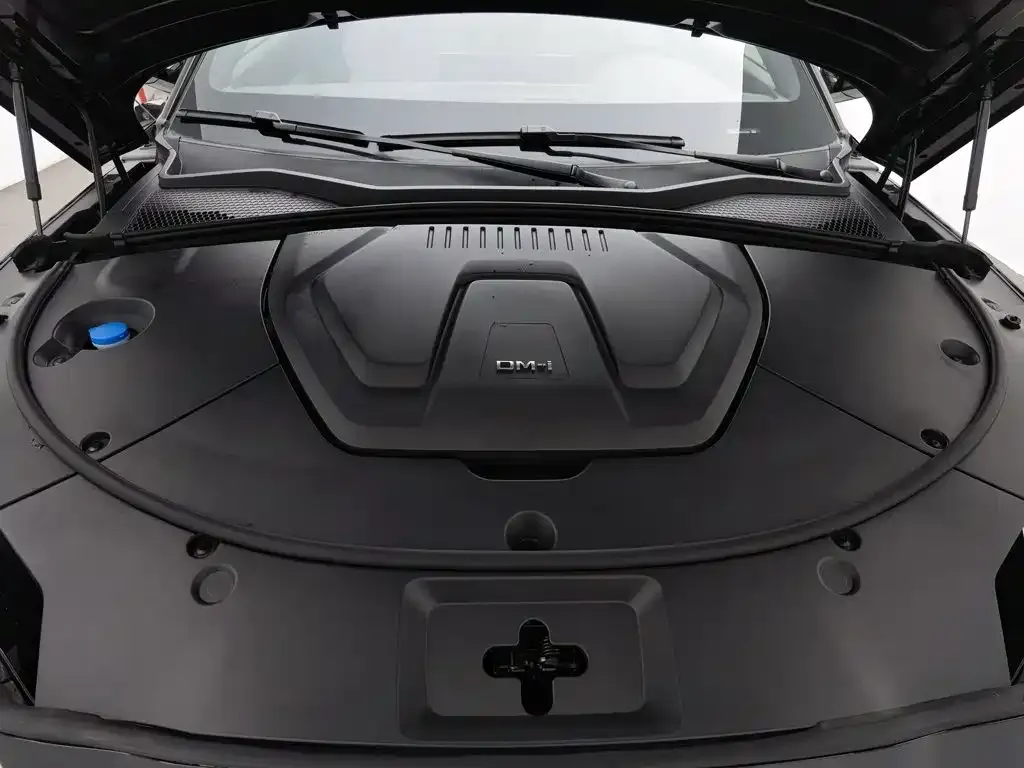 BYD PLUS New Energy — фото 2