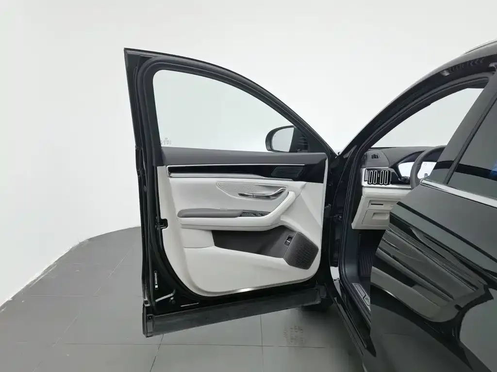 BYD PLUS New Energy — фото 10