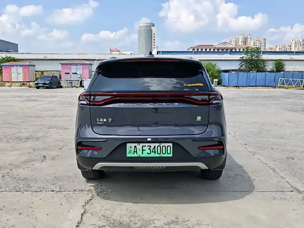 BYD Tang New Energy — фото 2