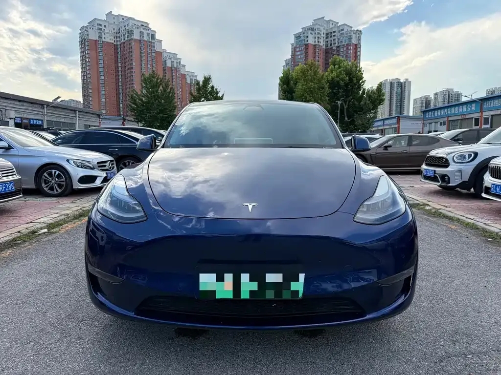 Tesla Model Y — фото 9