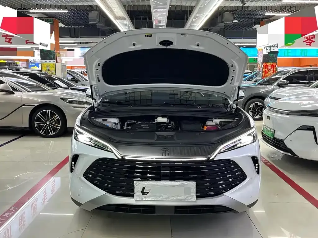 BYD L DM-i — фото 8