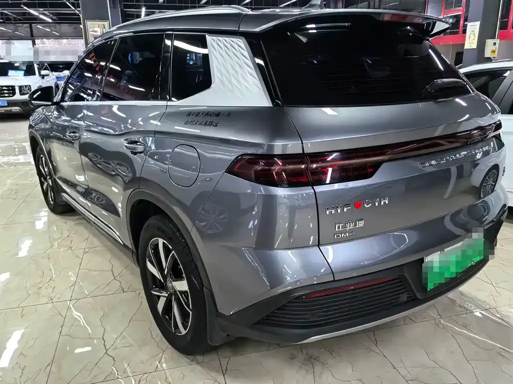 BYD Pro New Energy — фото 8