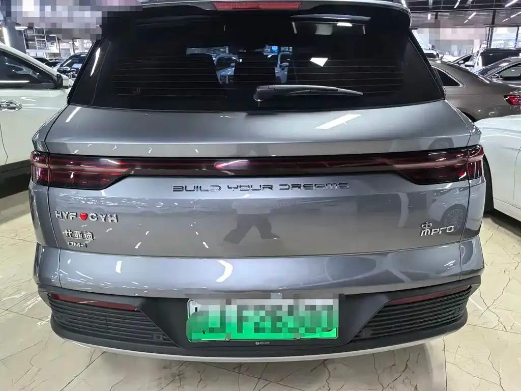 BYD Pro New Energy — фото 2