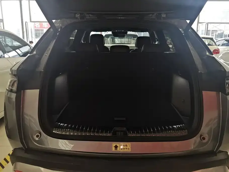 BYD L DM-i — фото 8