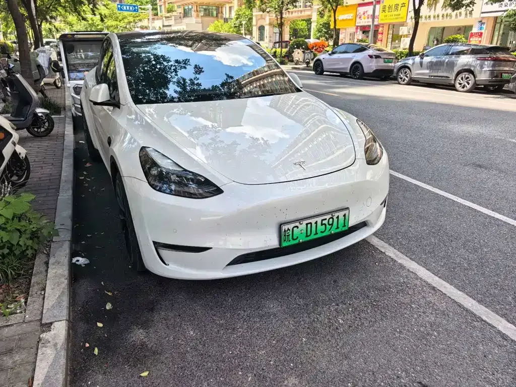 Tesla Model Y — фото 10