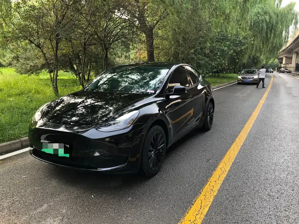 Tesla Model Y — фото 1